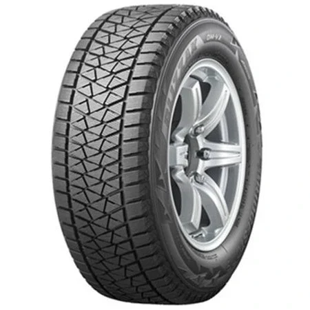 Bridgestone BLIZZAK DMV2