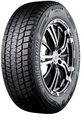 Bridgestone BLIZZAK DMV3