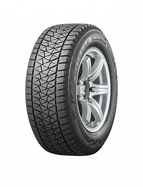 Bridgestone DMV2