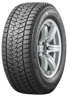 Bridgestone BLIZZAK DM-V2