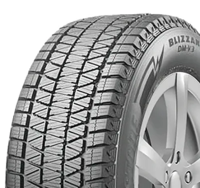 Bridgestone BLIZZAK DM-V3