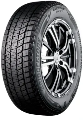 Bridgestone BLIZZAK DMV3