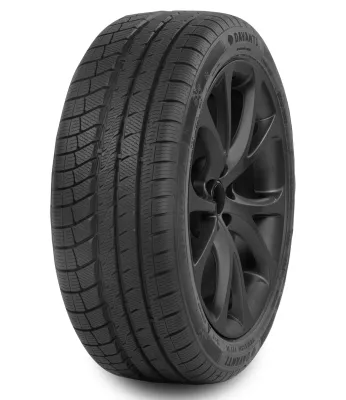 Davanti 245/45 R18 Wintoura+ 100V XL TL RPR 100VV