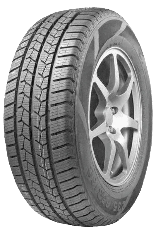 Leao WINTER DEFENDER VAN
