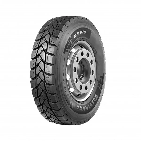 Roadtrack T_DM310_RDTR