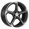 Ronal R66