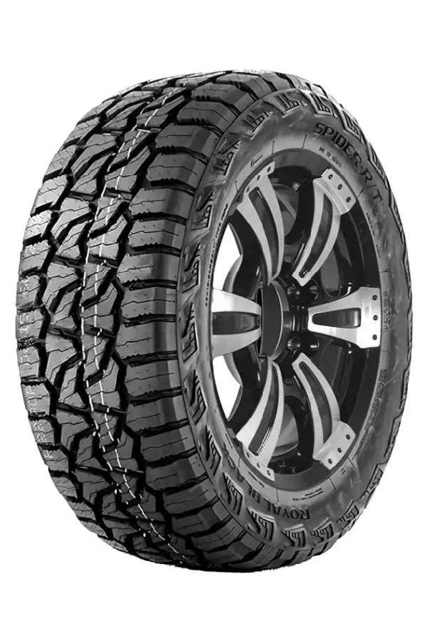 Royal black SPIDER R/T